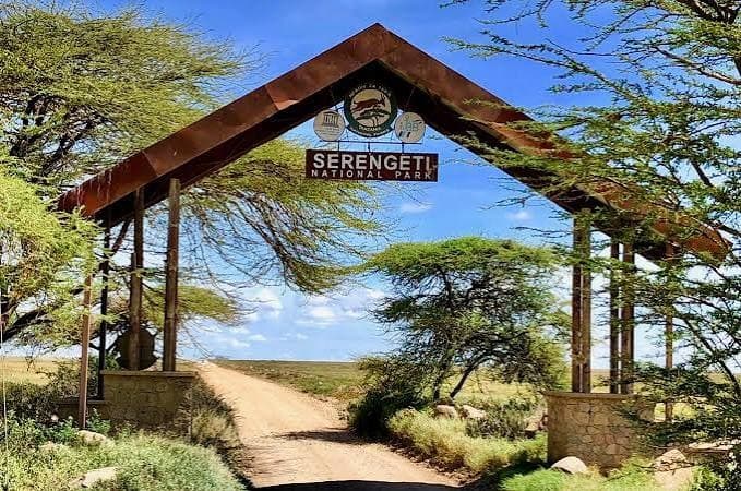 5-Day Serengeti, Ngorongoro & Tarangire Safari